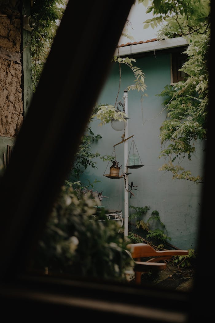 Mastering the First Impression: Your intriguing post title goes here A serene view of a green garden with hanging planters and lush foliage.