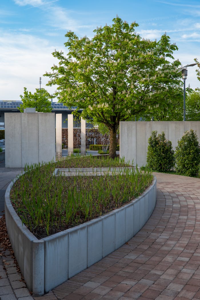 Contemporary outdoor garden design featuring a curved pathway, greenery, and open sky, perfect for urban landscapes.